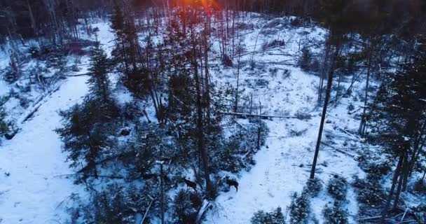 Luz Solar Desvanece Lentamente Enquanto Sol Põe — Vídeo de Stock