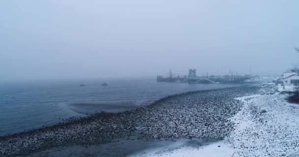 Vista Elevada Porto Inverno Maine Portugal — Vídeo de Stock