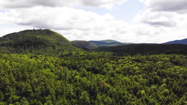 Fotografía Aérea Línea Árboles Maine — Vídeo de stock