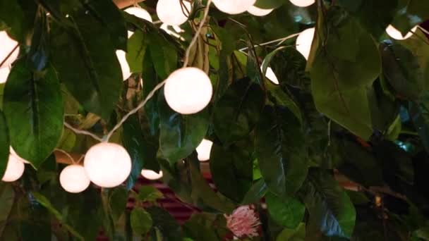 Decorative Small Hanging Globes Light — Stockvideo