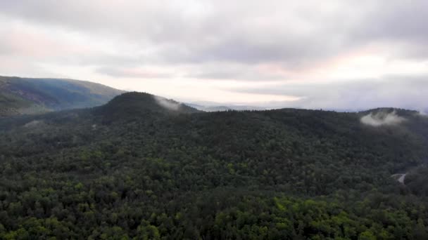 Aerial View Forest Maine Usa — 图库视频影像