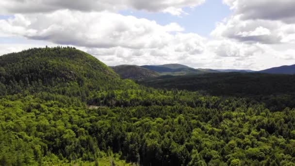 Vista Aérea Denso Bosque Maine — Vídeo de stock