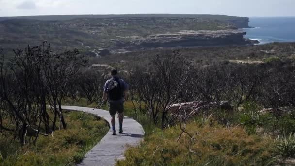 Shot Two People Walking Trail Coast Line Royal National Park — Wideo stockowe