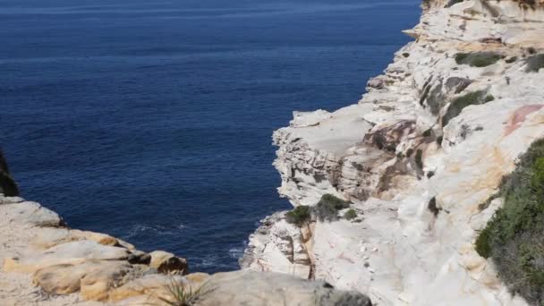 Wild Shot Cliff Ocean Summer Day — Stok video
