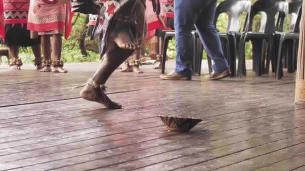 Zulu Tribesman Stopping Feet Traditional Dance Ritual Swaziland — Vídeos de Stock