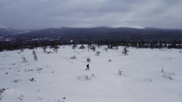 Adventurer Snowshoeing Alone Top Arctic Mountain — Stockvideo