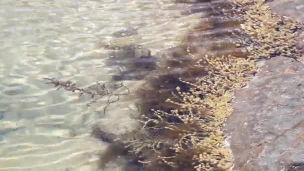 Ripples Making Way Surface Shallow Rock Pool — Stockvideo