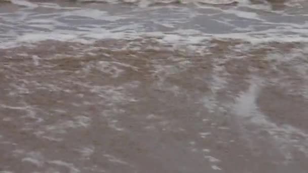 Lapping Tidal Waves Shoreline Ocean Water Ebbs Flows — Vídeo de Stock