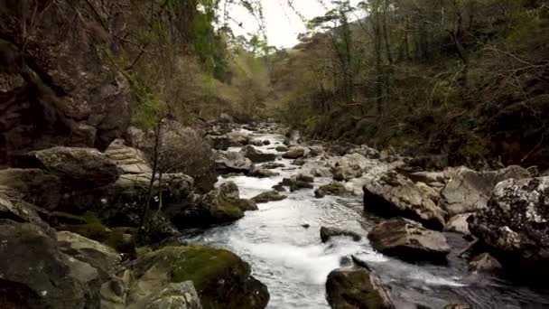 Sendero Público Largo Del Río Glaslyn Cerca Beddgelert Gales Del — Vídeos de Stock