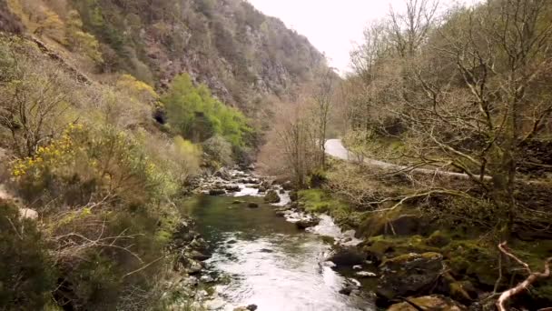 Sendero Público Largo Del Río Glaslyn Cerca Beddgelert Gales Del — Vídeo de stock