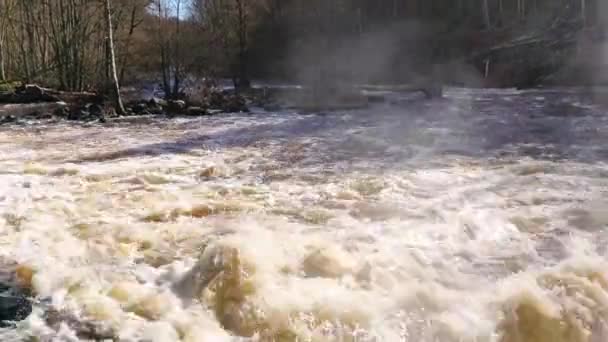 Wild River Rekil Munkedal Sweden — Video Stock