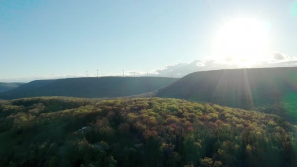 Smooth Cinematic Flight Green Forest Sunset Wind Turbines Far Away — Stockvideo