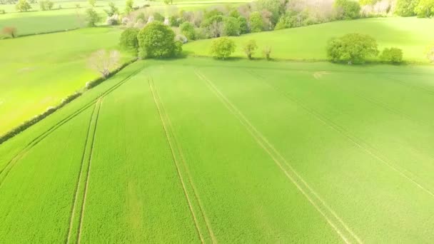 Flyover Aerial View Open Farmland Arable Fields Woodland — Vídeos de Stock