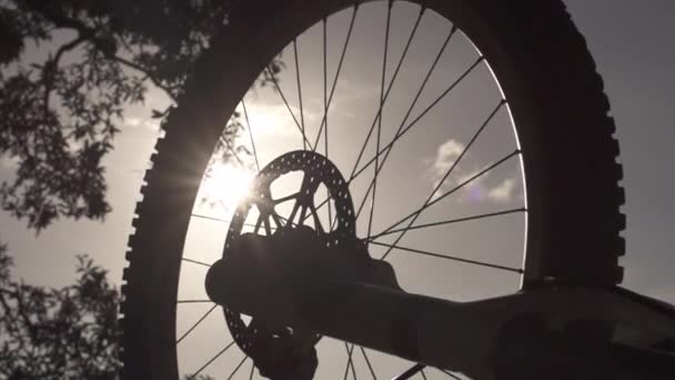 Silhouette Slow Mountain Bike Wheel — Video Stock