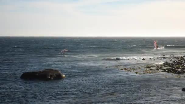 Static Wide Shot Norwegian Windsurfers Surfing Waves Coast North Sea — Video