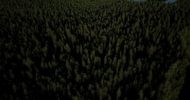 Aerial Tilt Skerries Pine Tree Forests Baltic Sea Time Ramp — Vídeo de Stock