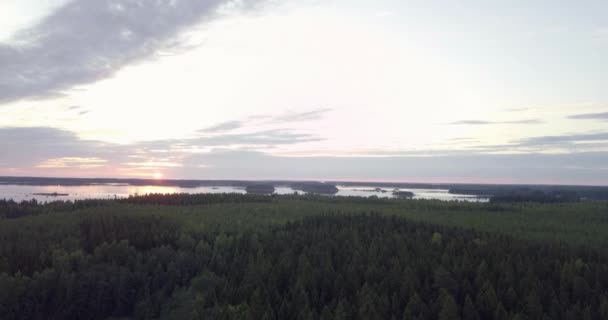 Aerial Ascending Variable Speed Lovely Sunrise Horizon Skerries Pine Forrest — Stock video