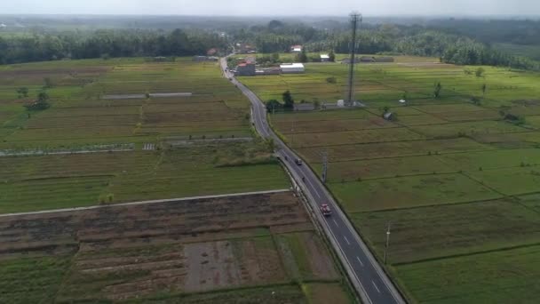 Aerial View Cars Travelling Bali Road Surrounded Farmlands High Angle — Video Stock
