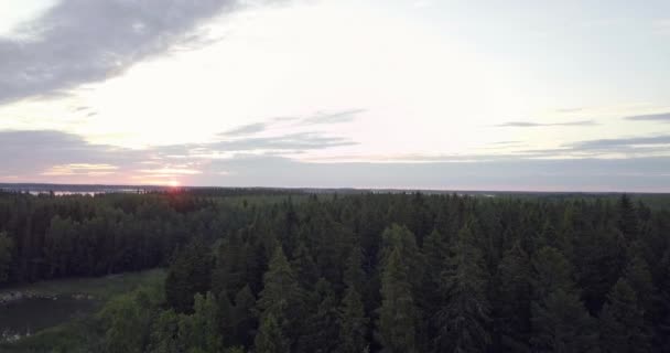 Aerial Ascending Revealing Sunrise Horizon Pine Forrest Skerries Cold Autumn — Video Stock