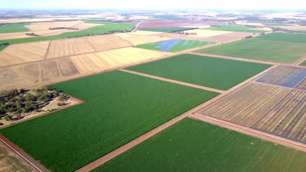 Panoramic Aerial View Vast Flat Area Rural Land Different Shades — Stockvideo