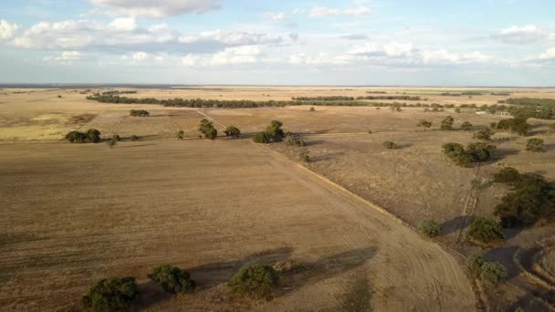 Einsam Gelegene Leere Hektar Ackerland Auf Australischem Land Der Nebensaison — Stockvideo