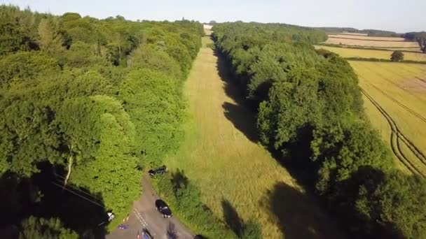 Aerial View English Country Side Rows Trees — ストック動画