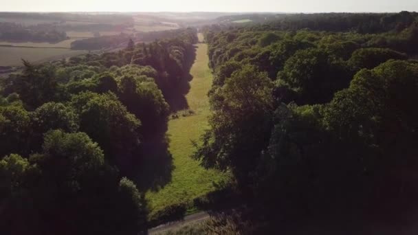 Aerial Footage Bright Sunrise Gap Woodland Wide Angle View English — Stockvideo