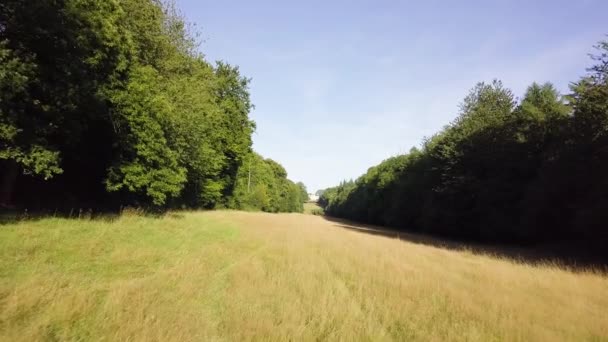 Fast Moving Shot Ground Long Grass Rows Trees — Vídeo de Stock