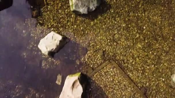 Aerial Footage Shallow Stream Rocks Pebbles — Vídeo de stock