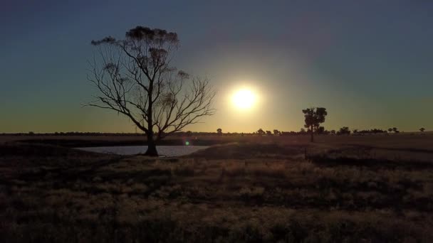 Aerial View Wild Outback Scene Moving Small Lake Bare Tree — Video Stock