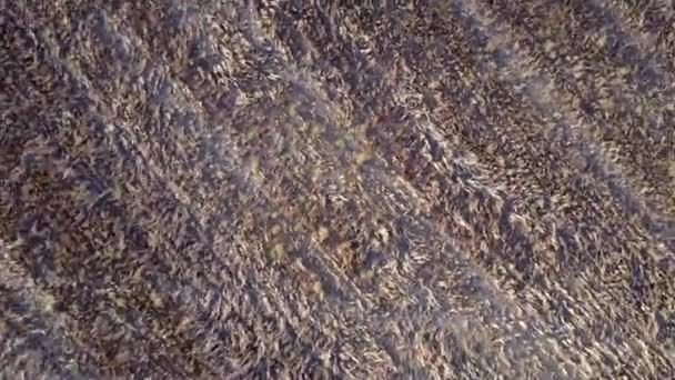 Ascending Aerial Shot Vast Agricultural Crop Field — Stock videók