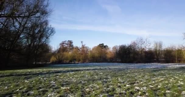 Snow Covered Grass Birds Flying Sunny Winter Morning — Vídeo de Stock