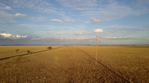 Electric Line Poles Empty Autumn Landscape Grass Aerial View Drone — Stock videók