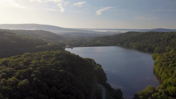 Aerial View Forest Lake Summer — Wideo stockowe