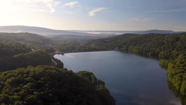 Aerial Drone View Forest Lake Summer — Wideo stockowe