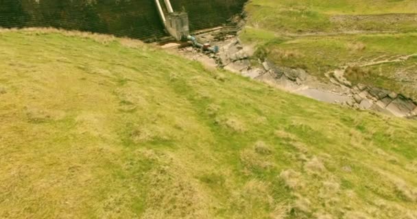 Red Welsh Sheepdog Running Camera Hill Side Welsh Valley — 비디오