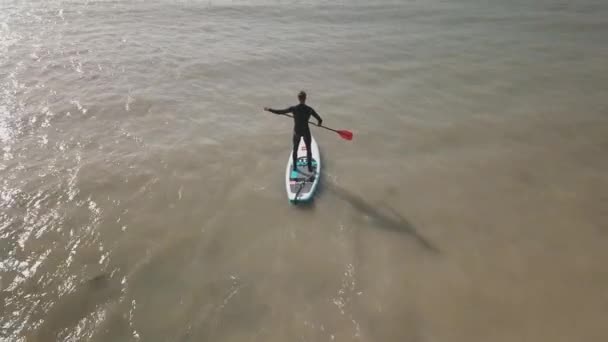 Young Man Hops Paddle Board Sea Boat Glistening Water Blue — Stock Video