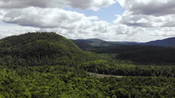 Birds Eye View Forest Maine United State America — Vídeo de Stock