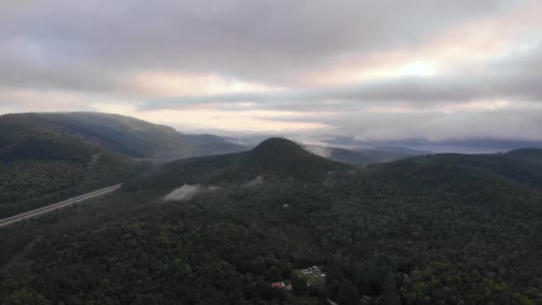 Wide Angled View Forest Maine United State America — Stok video