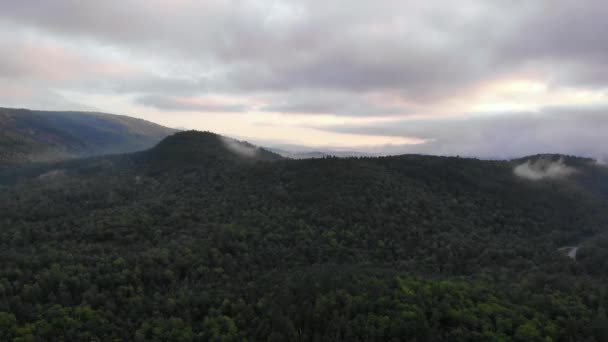 Overview Dense Forest Maine United State America — Vídeo de stock