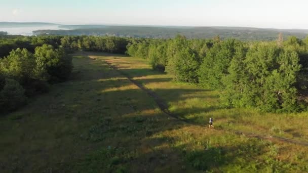 Birds Eye View Woods Man Jogging Trail — Video