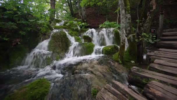 Inclined Shot Stream Plitvice Lakes Park Croatia — Video Stock
