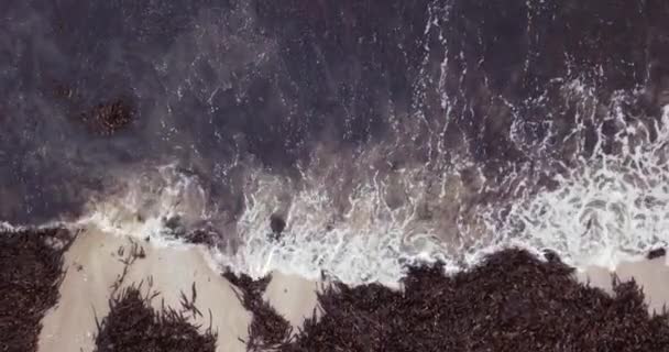Close Calm Waves Lapping Beach Filled Seaweed — Vídeo de stock