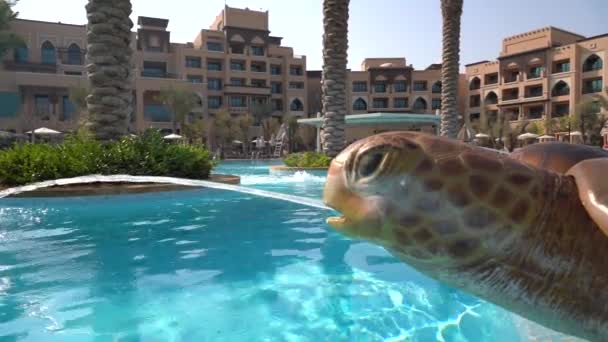 Turtle Statue Spouting Water Poolside Abu Dhabi United Arab Emirate — Vídeos de Stock