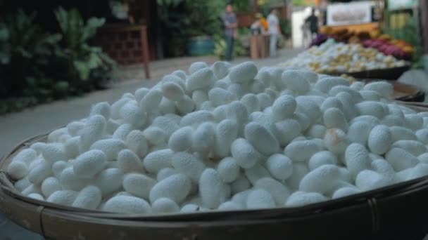 Thailand Silk Weaving Industry Silk Making Process — стоковое видео