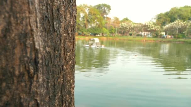 Exploring Lumpini Park Bangkok King Rama Statue Lake — Stok video