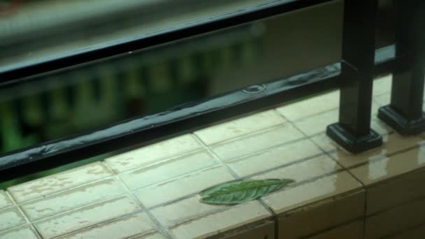Slow Motion Rain Droplet Balcony Ledge — Vídeos de Stock