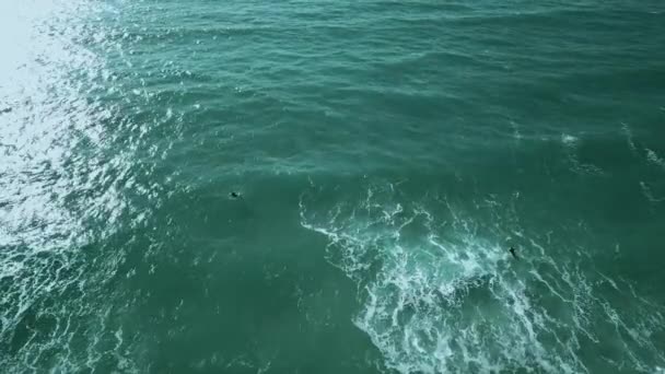 Surfers Waiting Perfect Wave Crystal Clear Waters Static Shot — Vídeo de stock