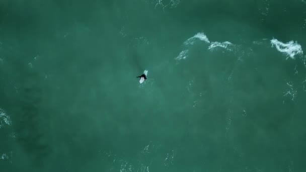 Surfer Turning Board Catch Perfect Wave Drone Shot — Stockvideo