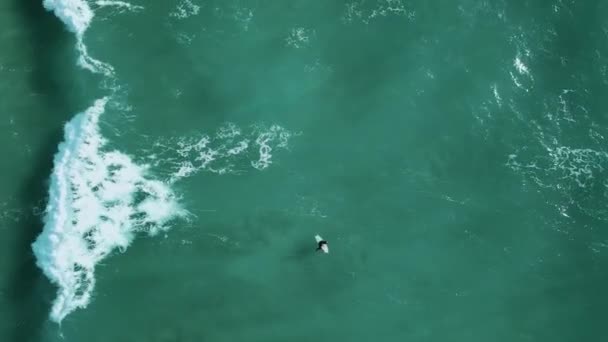 Surfer Waiting Catch Wave Close Wide Drone Shot — Vídeo de stock